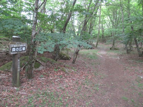 森の広場